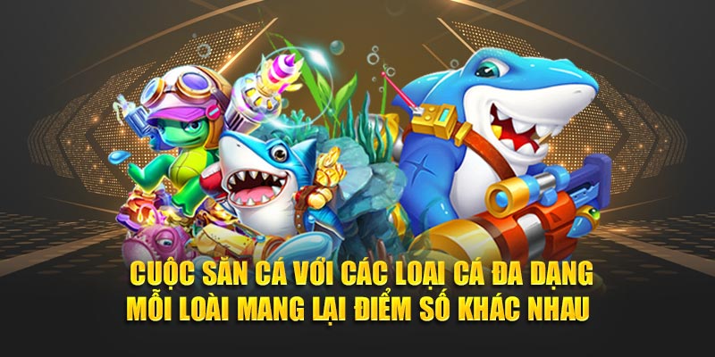 Cuộc săn cá với các loại cá đa dạng mỗi loài mang lại điểm số khác nhau